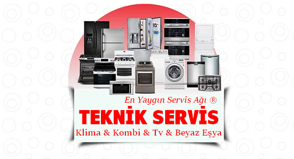 Bayraklı Seg Servisi